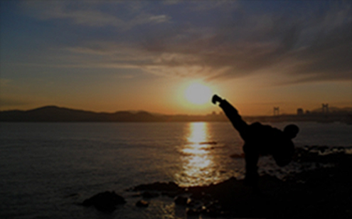 무예 스포츠 계열